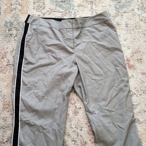 Stylish modern work pant